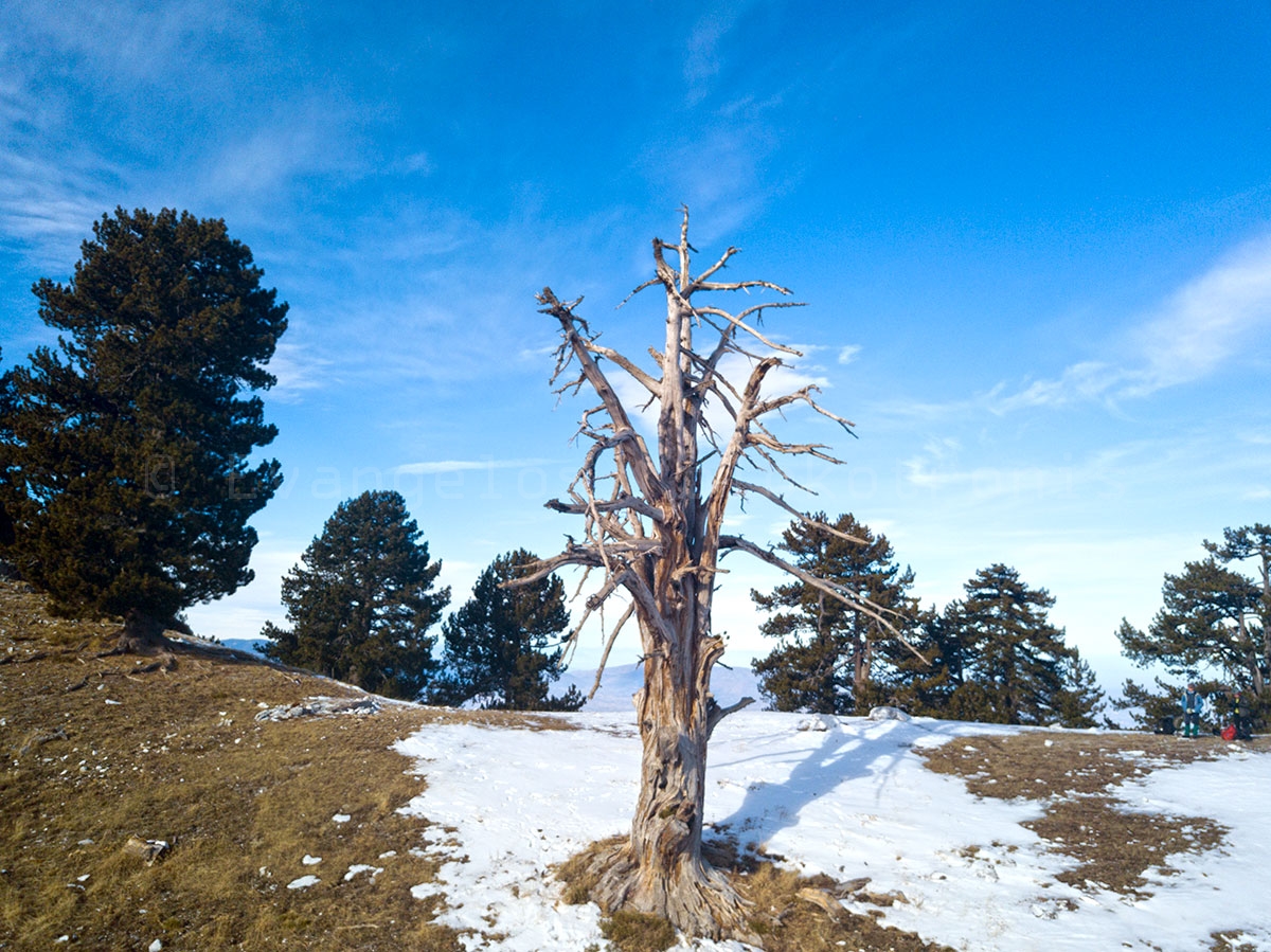 Olympus Refuge Petrostrouga 1.940m and Dereki path