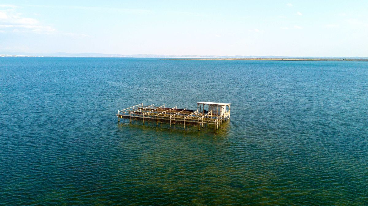 Nature Park Kalochori  Thessaloniki