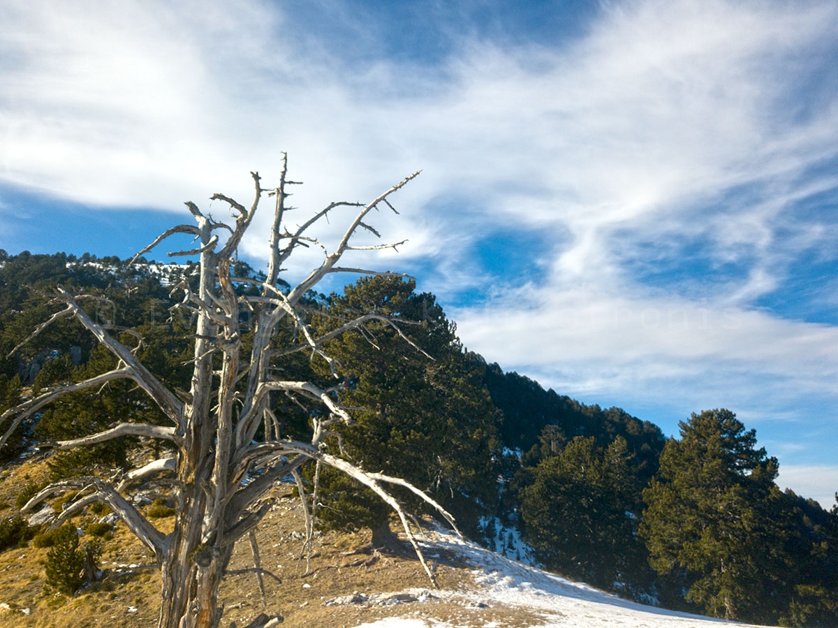 Olympus Refuge Petrostrouga 1.940m and Dereki path