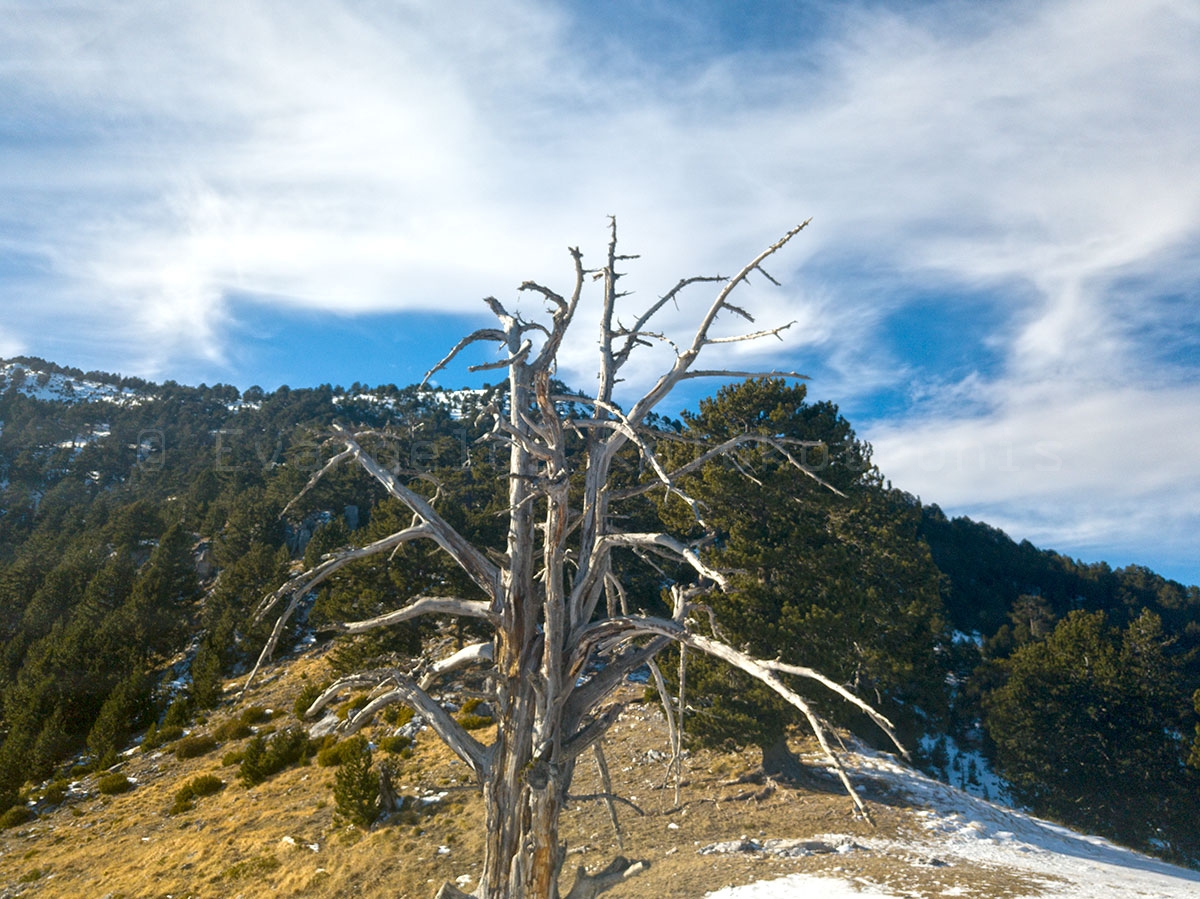 Olympus Refuge Petrostrouga 1.940m and Dereki path