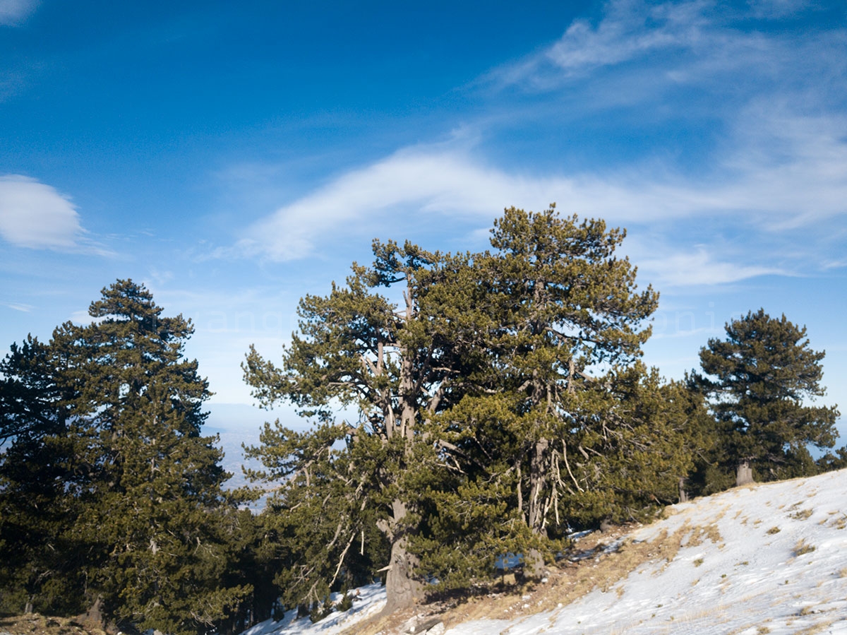 Olympus Refuge Petrostrouga 1.940m and Dereki path