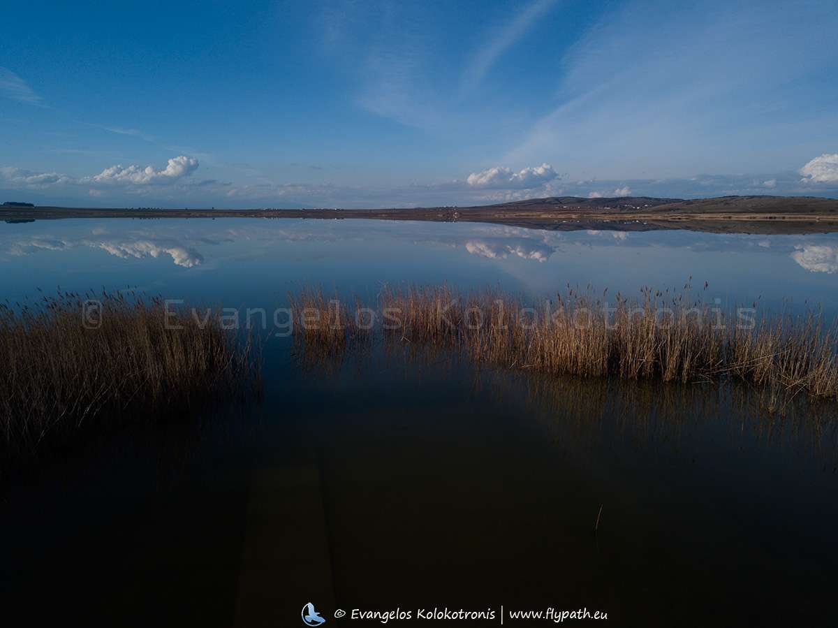 Lake Pikrolimni Kilkis Greece